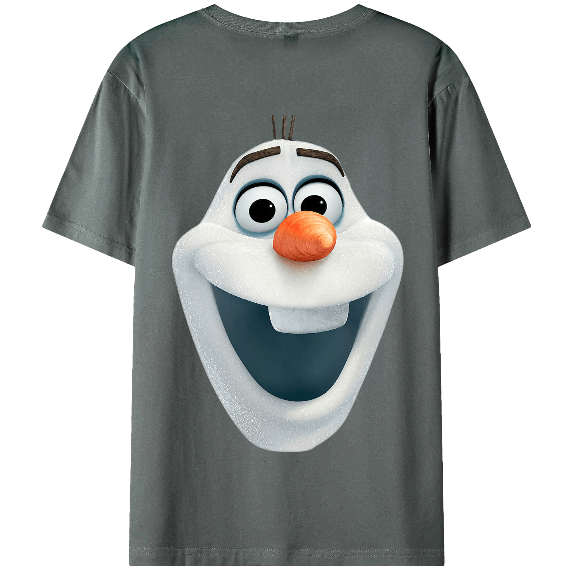 （画像用） アナと雪の女王 アンナ エルサ Frozen Anna Elsa 綿100％半袖Tシャツ（背面プリント）